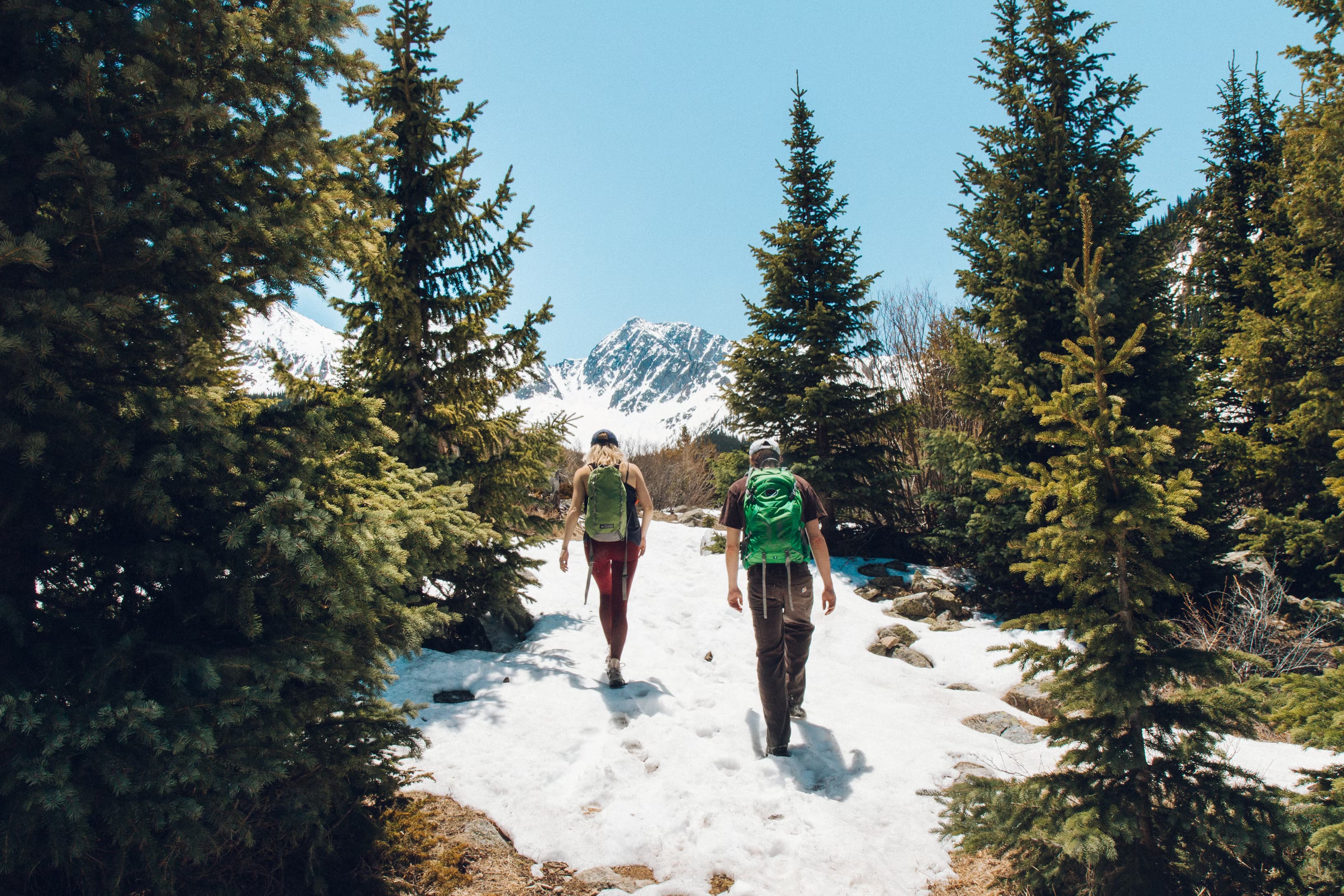 Trekking and Hiking Logo